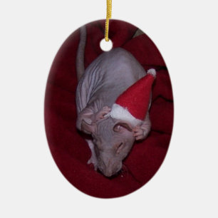 En Céramique Ornement chauve de Lydia de rat d'animal familier