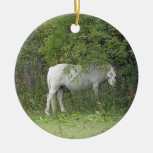 En Céramique Ornement Cheval Blanc et timide