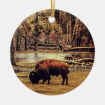 Ornement de bisons