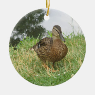 En Céramique Ornement de canard à mâchoires féminin