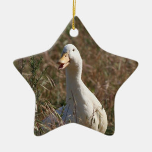 En Céramique Ornement de canard d'animal familier