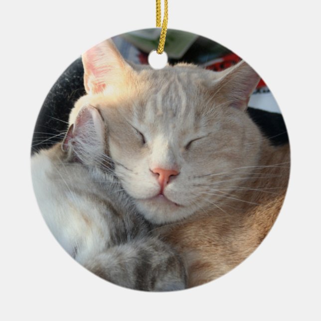 En Céramique Ornement de chat (Devant)