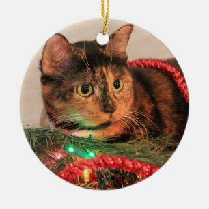 En Céramique Ornement de chat de calicot de Noël