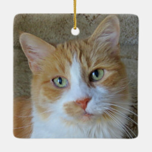 En Céramique Ornement de chat de gingembre orange et blanc