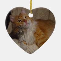 Ornement de chat de ragondin du Maine