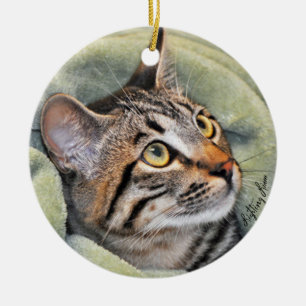 En Céramique Ornement de chat tigré de gris argenté de