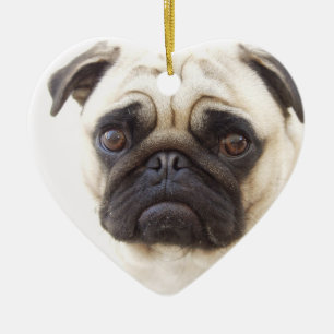 En Céramique Ornement de chien de carlin