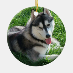 En Céramique Ornement de chien de chien de traîneau sibérien