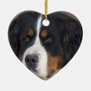 En Céramique Ornement de chien de montagne de Bernese
