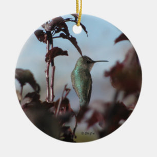 En Céramique Ornement de colibri