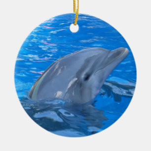 En Céramique Ornement de dauphin de Bottlenose