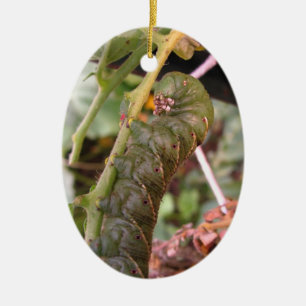 En Céramique Ornement de ~ de la Caroline Hornworm