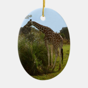 En Céramique Ornement de girafe de safari