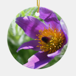 En Céramique Ornement de la fleur de couleur pasque violet