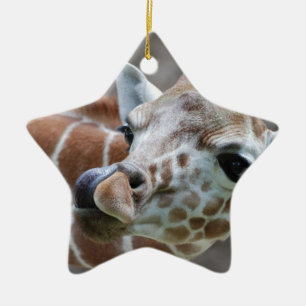 En Céramique Ornement de langue de girafe