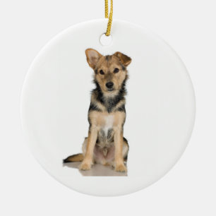 En Céramique Ornement de Malinois de Belge