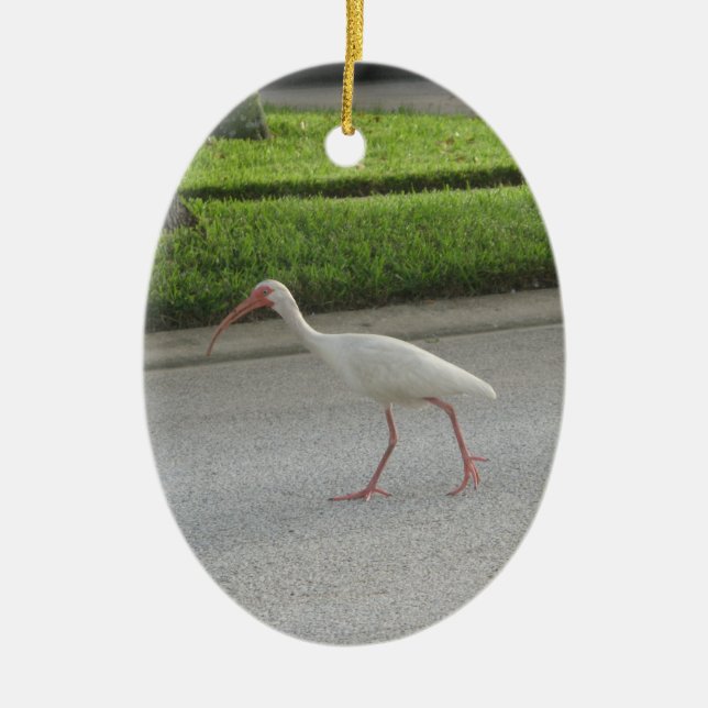 En Céramique Ornement de marche Ibis (Devant)