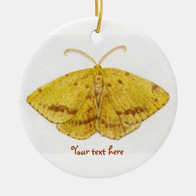 En Céramique Ornement de mite de géomètre de crocus (Devant)