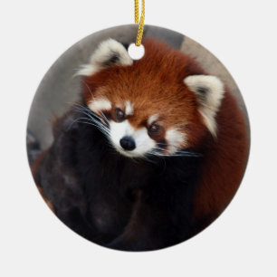 En Céramique Ornement de panda rouge