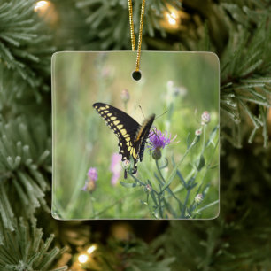 En Céramique Ornement de photo de papillon