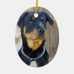 En Céramique Ornement de rottweiler
