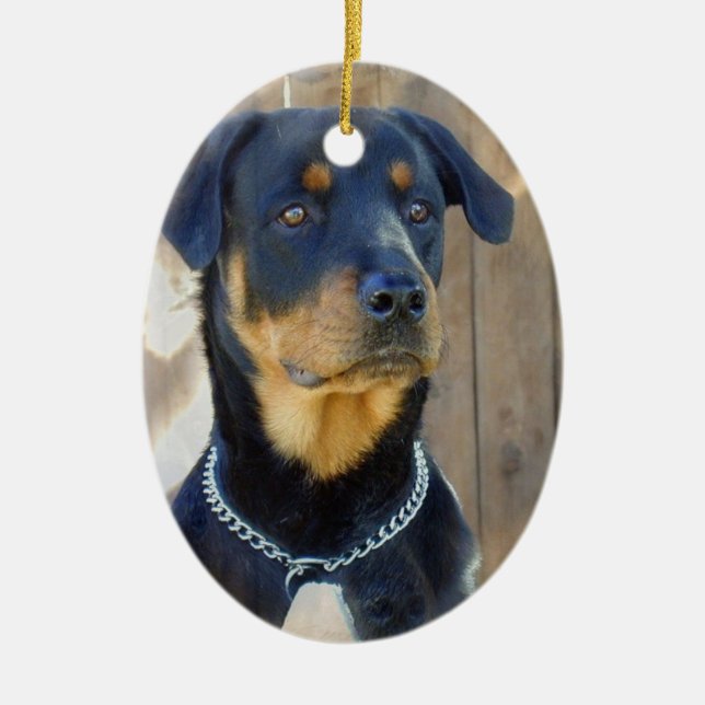 En Céramique Ornement de rottweiler (Devant)