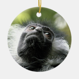 En Céramique Ornement de singe de Colobus du Rwanda