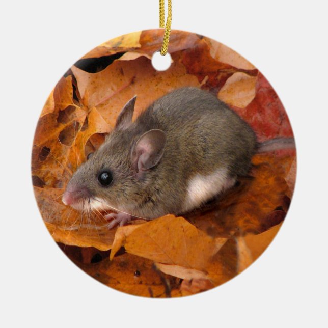 En Céramique Ornement de souris de Noël (Devant)
