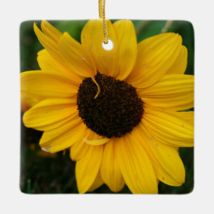 En Céramique Ornement de tournesol