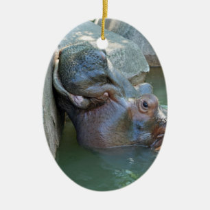 En Céramique Ornement d'hippopotame