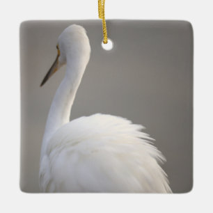 En Céramique Ornement d'oiseau aigrette