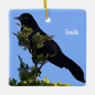 En Céramique Ornement d'oiseaux de cabot