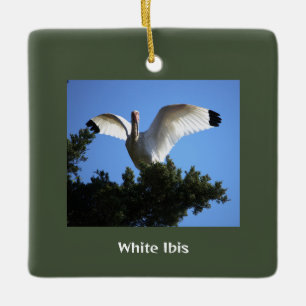 En Céramique Ornement d'oiseaux Ibis blanc