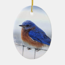Ornement d'ovale d'oiseau bleu