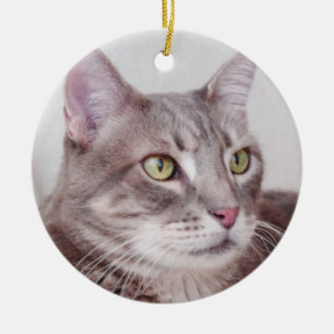 En Céramique Ornement gris de chat tigré