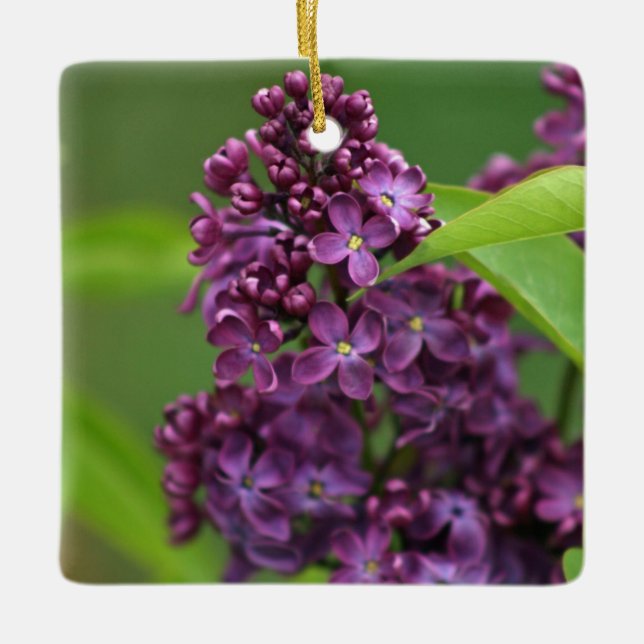 En Céramique Ornement Lilac Violet (Devant)