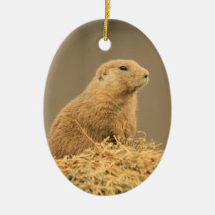 En Céramique Ornement mignon d'Aint I de chien de prairie