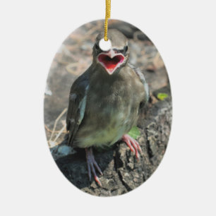 En Céramique Ornement mignon d'animal d'oiseau de bébé