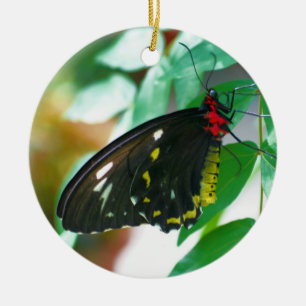En Céramique Ornement naturel papillon noir