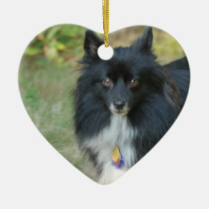 En Céramique Ornement noir de chien de Pomeranian