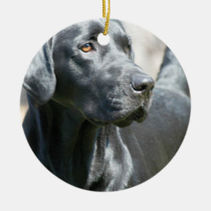 En Céramique Ornement noir vigilant de chien de labrador