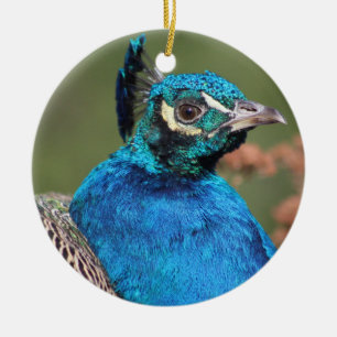 En Céramique Ornement Peacock