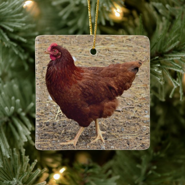 En Céramique Ornement photo de poulet (Arbre)