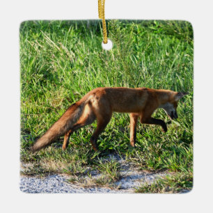 En Céramique Ornement photo Fox