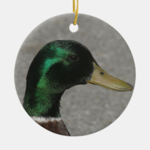 EN CÉRAMIQUE ORNEMENT PRINCIPAL DE CANARD DE MALLARD