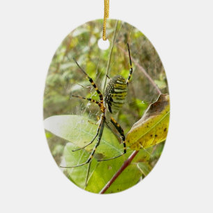 En Céramique Ornement réuni de Noël d'araignée d'Argiope