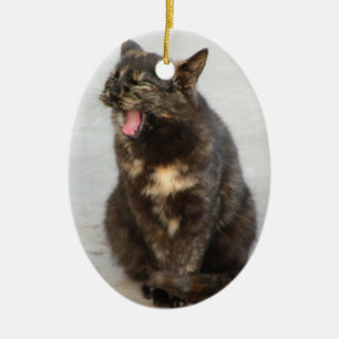 En Céramique Ornement riant de chat d'écaille