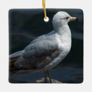 En Céramique Ornement Seagull