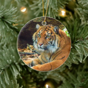 En Céramique Ornement sibérien de tigre