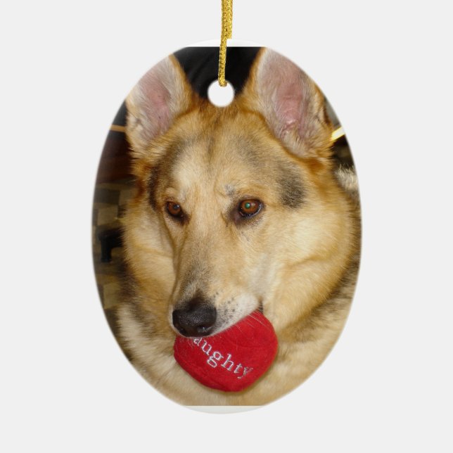 En Céramique Ornement vilain de chien (Devant)